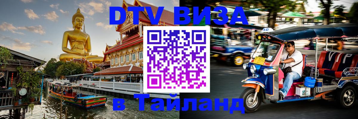 Оформление DTV визы под ключ: стоимость и тарифы, только загранпаспорт - Пушкино  19.11.2025 